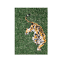 de-online-binnenstad-b-v-164298-1.png
