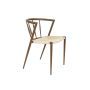 Chair Che Walnut