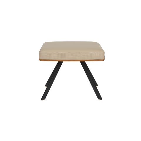 Stool Frie